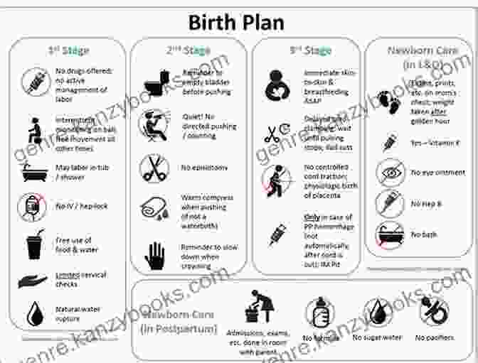 Pre Birth Plan Blueprint Your Soul S Love: Living The Love You Planned Before You Were Born