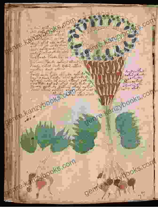 The Voynich Manuscript, An Enigmatic Ciphered Codex That Has Defied Deciphering The World S Most Mysterious Objects (Mysteries And Secrets 7)