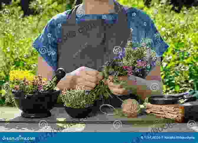 Young Girl Smiling And Holding A Bunch Of Herbs Natural Woman: Herbal Remedies For Radiant Health At Every Age And Stage Of Life