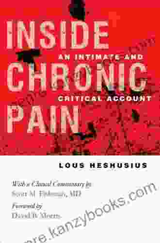 Inside Chronic Pain: An Intimate And Critical Account (The Culture And Politics Of Health Care Work)