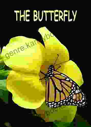 The Butterfly: A Science Based Children S Depicting The Life Cycle Of A Butterfly (The Wonderful World Of Insects)