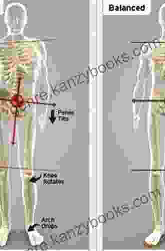 Advanced Myofascial Techniques: Volume 1: Shoulder Pelvis Leg And Foot