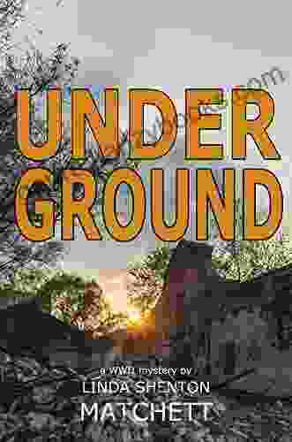 Under Ground: A World War II Mystery