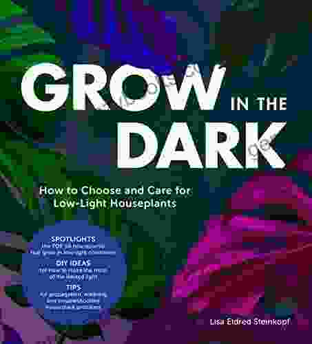 Grow In The Dark: How To Choose And Care For Low Light Houseplants